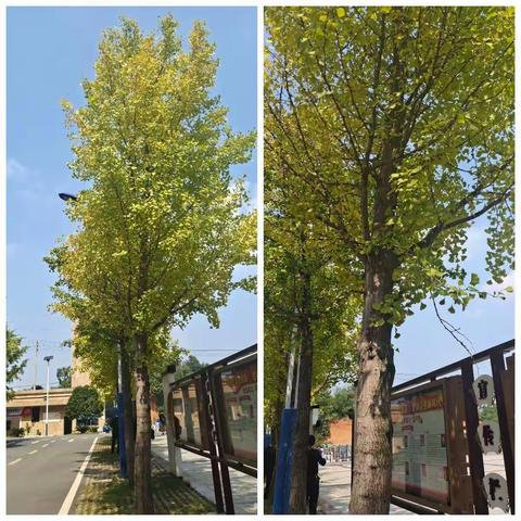 站在新起点，迎接新挑战，创造新成绩。2020衡南县国培计划开班典礼