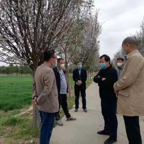 促春管抓技术，小麦春管正当时