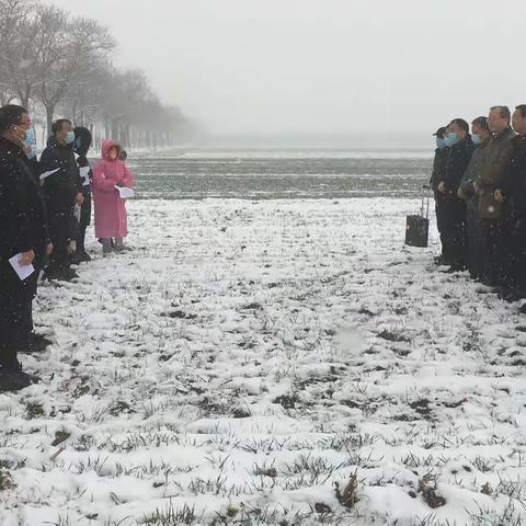 紧抓小麦油菜早春管理     科技培训做支撑