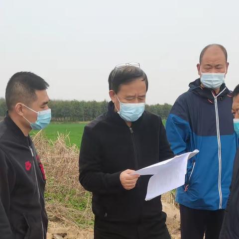 小麦春管技术服务进行时