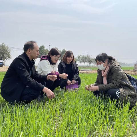 科技助力促丰收