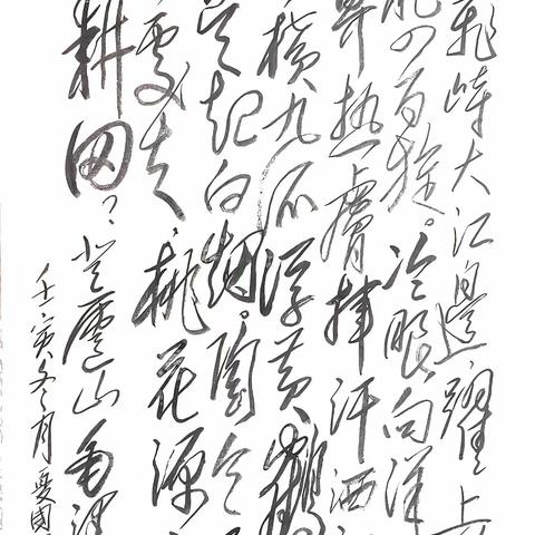 20221220毛泽东《登庐山》书写