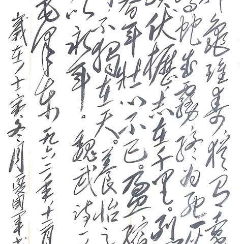 20221219曹操《龟虽寿》书写