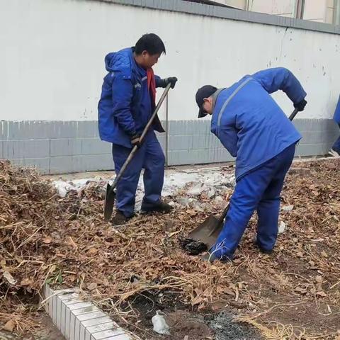 持续开展春季爱国卫生运动       提升城乡人居环境质量