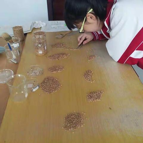 全力以赴迎挑战，齐心协力创佳绩。