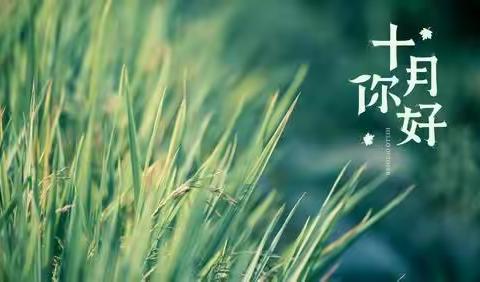 同行共进 集体教学助力教育教学—二年级语文第三次教研活动纪实