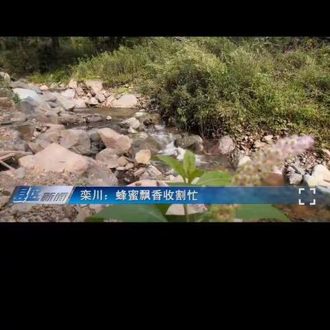 坡前村第一届重阳节活动致在外乡贤的一封公开信