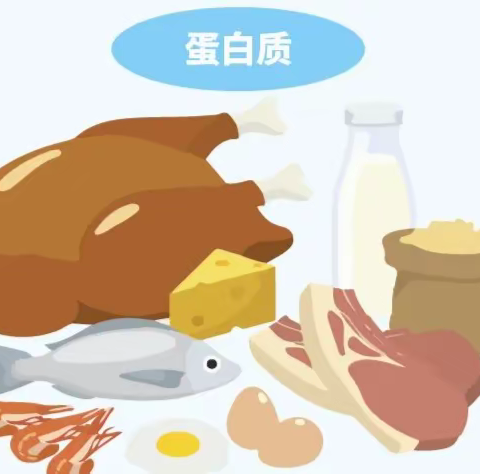 透析病人如何选择蛋白质？