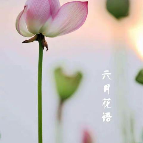 辰辰的美篇