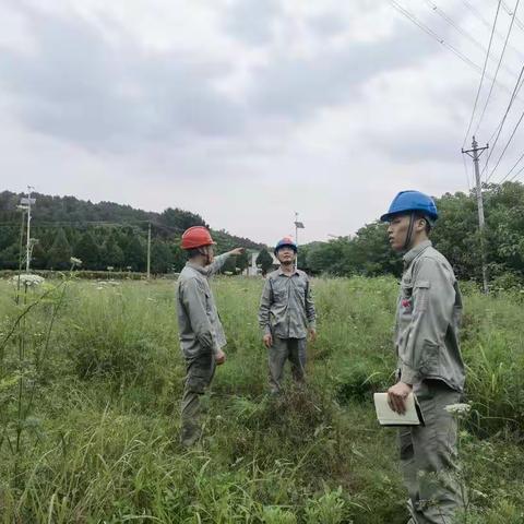 “排风险，查隐患” 东新公司开展“五查五严”督察工作