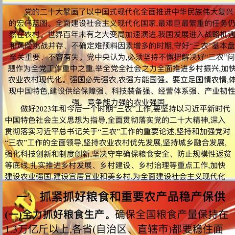 “解读中央一号文件精神”—保定市物探中心学校党员活动