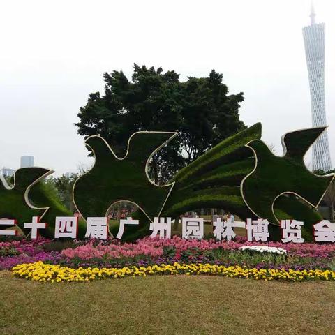 花城广场、海沁沙花🌸愽会美景（一）2018-2-21💐🌷🌹🌺🍁