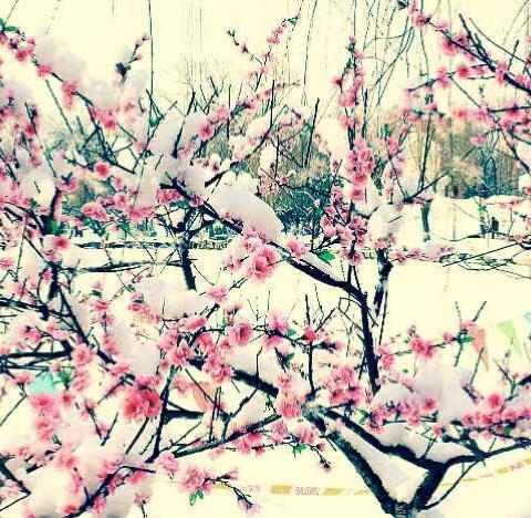 生日祝福来了……拓石通信车间全体同仁祝社棠通信工区闫海生日快乐🎂🎊🎉