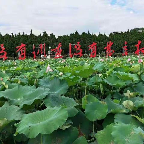平和五中党支部：古田会议会址、红色才溪党员学习！