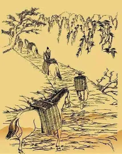 “茶马古道”是我国历史上内地农业地区和边疆游牧业地区进行茶马贸易所形成的古代交通路线,分川藏、滇藏