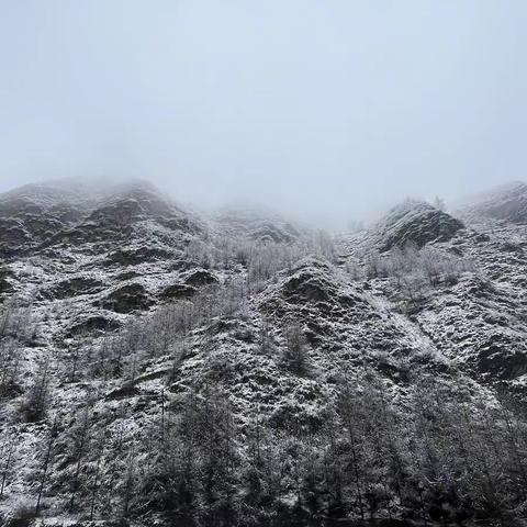 【“三抓三促”活动进行时】——飞雪迎春山岔教学点师生外出感受春日美好