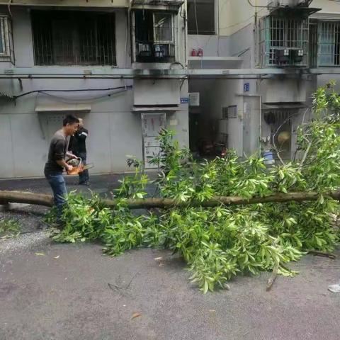 "百日奋  战扮靓星城"——狮子山社区环境卫生大整治