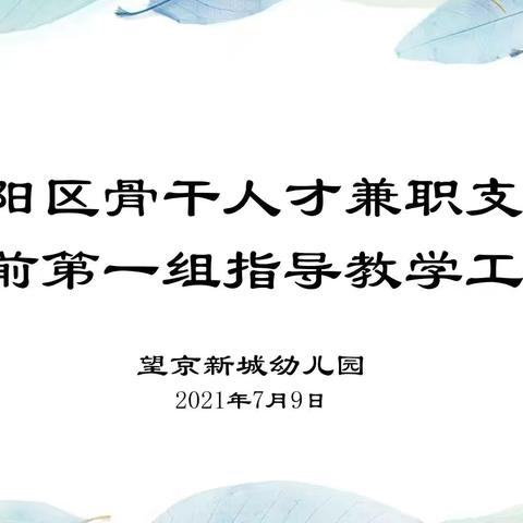 相学共研 发挥骨干引领作用 ，使命如磐 助力教师专业提升——北京市朝阳区骨干人才支教学前第一组第2次活动