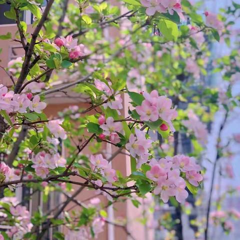 防患于未“燃”：下邽镇抢抓时机，党群发力，喷洒除草剂