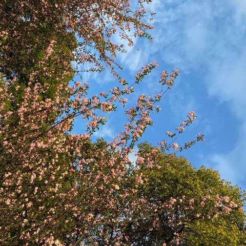 春来正当时  奋起加油干