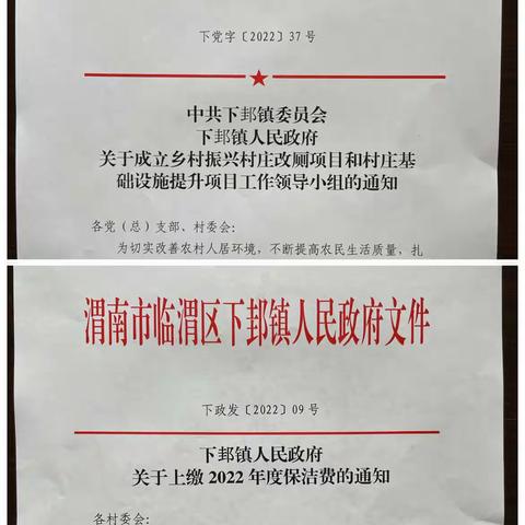 下邽镇迎接2022年第一次农村人居环境整治工作检查