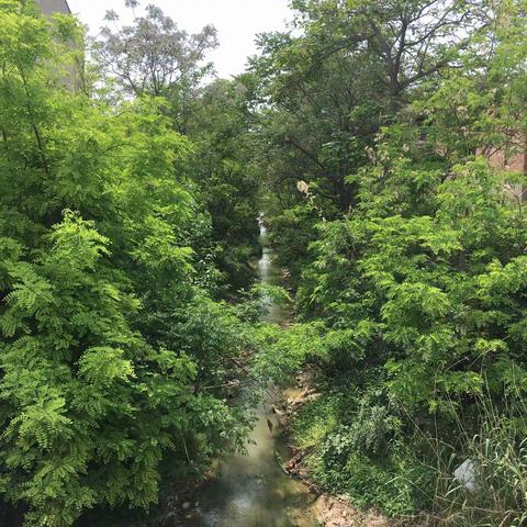 下邽镇：以观摩促整改，以评比促提升