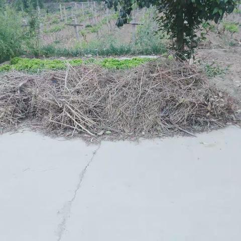 下邽镇：直面问题促整改，立行立改见实效