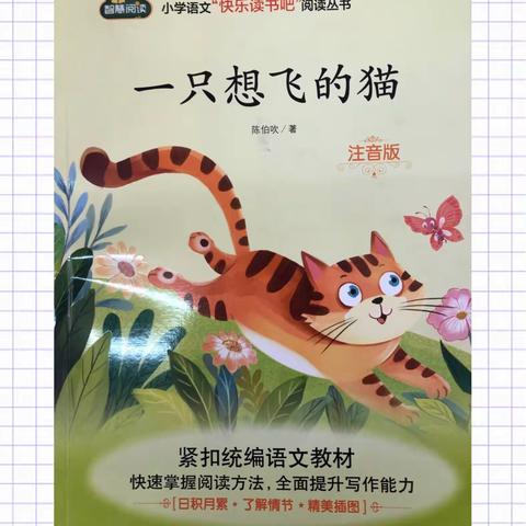 《一只想飞的猫》整本书阅读——记二年级语文组PBL活动