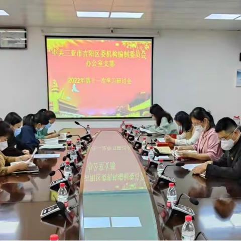 吉阳区委编办党支部召开2022年第十一次学习研讨会