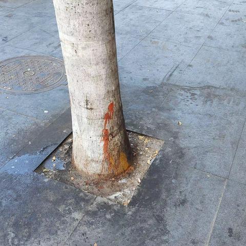 新鸿港市场2月28日需整改事项