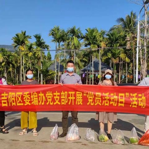 吉阳区委编党支部开展“传承雷锋精神 争做时代先锋”主题党日活动