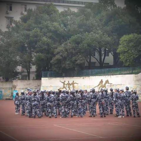 军训日常
