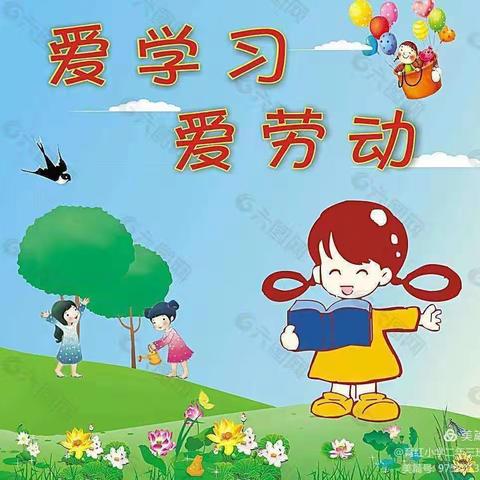 我劳动，我快乐——苇元屯小学疫情期间居家劳动篇