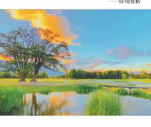 高二语文组备课活动