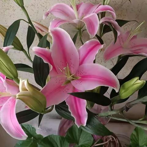 高二语文组备课活动