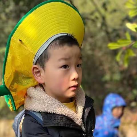 生日祝福——祝陈琛生日快乐