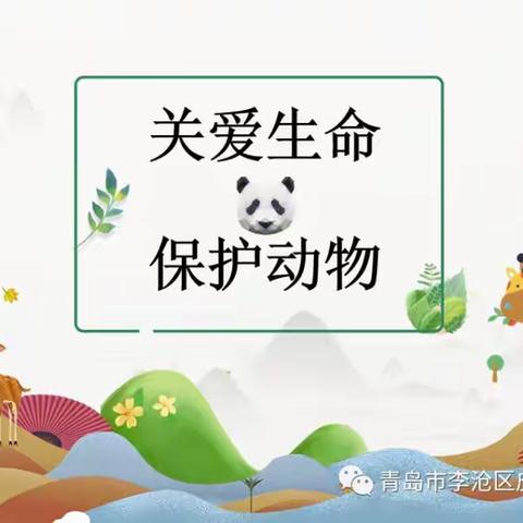 使赵中心小学使赵幼儿园大二班“抗击疫情，我们在行动”系列活动（四）---科学《保护野生动物》