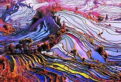 【凤凰户外旅行】2月20日至3月1日云南探春/元谋土林红土地九龙瀑布群普者黑碧色寨元阳梯田建水古城十日自由行