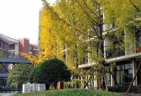 六组:全国中小学核心素养下的新课程、新技术、新课堂与名师成长高级研修班（下篇）