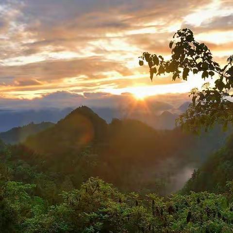 读骆宾王《夏日游山家同夏少府》