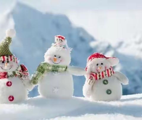 纳尼亚幼儿园小熊一班十二月第一周周反馈