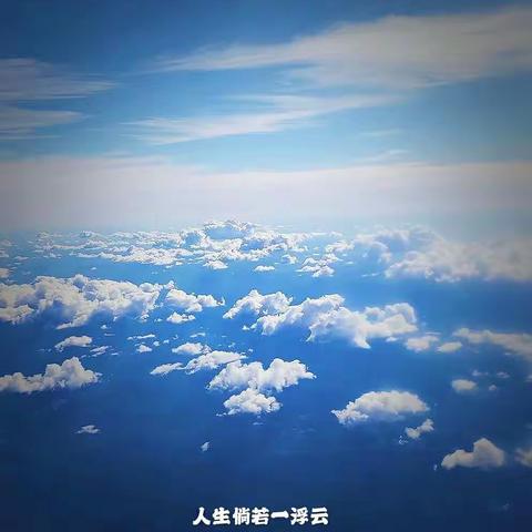 返悉尼空中随笔