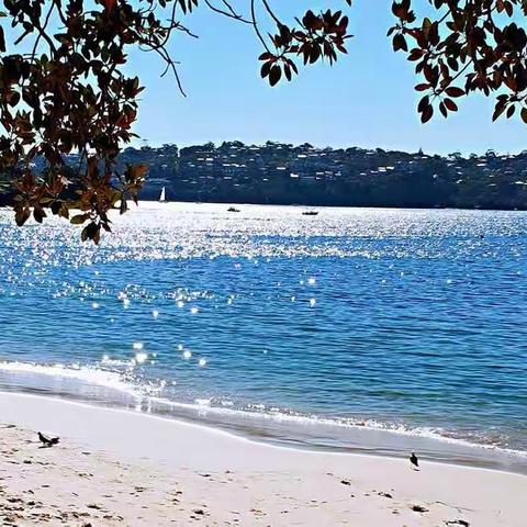 漫步巴尔莫拉尔海滩