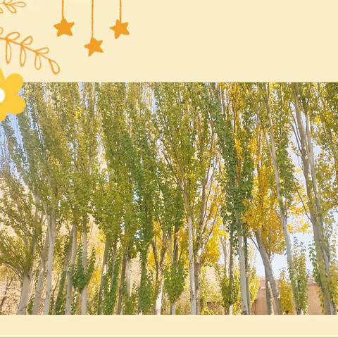 南门幼儿园主题活动《多彩的秋天》