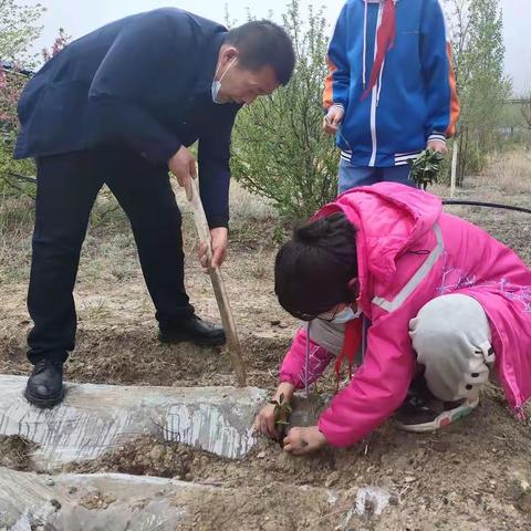 小辣椒，快长大——乌鲁木齐县托里中学劳动课程之辣椒种植活动剪影