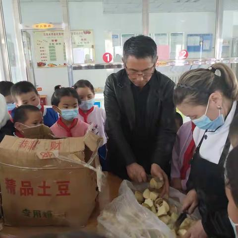 不负春光，不误成长，托里中学劳动课程之种植土豆活动