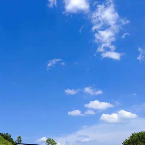 缤纷“暑”假 不负所“托”       ——桐木镇小埠小学暑期托管纪实