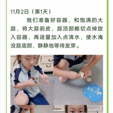 学校：宁波市雅戈尔实验小学班级：101班姓名：俊粲