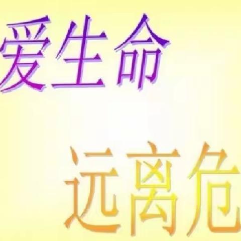 柏庄学校观看“珍爱生命远离危险”安全公益讲座纪实