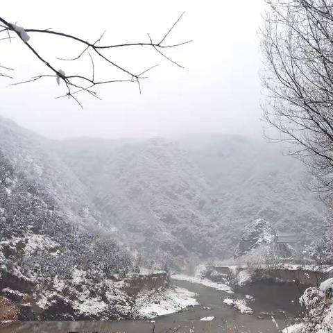 飞雪迎春国泰•瑞霭纳福民安